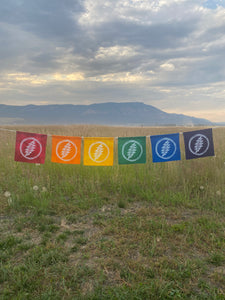 Full Rainbow 13 Point Lightning Bolt Flag Set - FREE SHIPPING